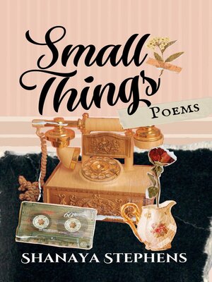 cover image of Small Things